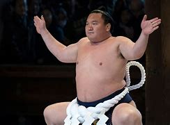 Image result for Portrait Photo of Sumo Wrestling