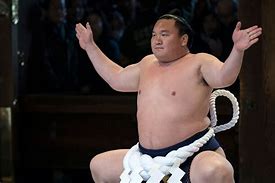 Image result for Heaviest Sumo Wrestler