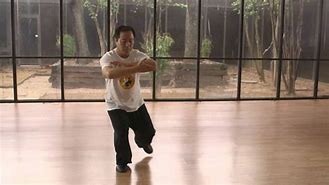 Image result for Wu Style Taijiquan