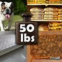 Image result for Examples of Things That Weigh 50 Pounds