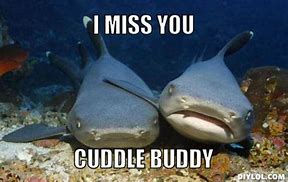 Image result for Miss You Buddy Meme