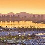 Image result for California Popular Cities