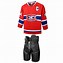 Image result for Canada Ice Hockey Jersey