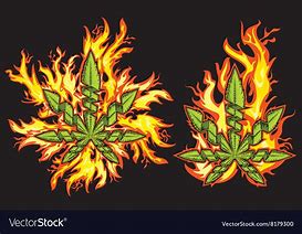 Image result for Weed Logo with Flames