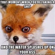 Image result for Cracked Out Fox Meme