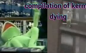 Image result for Kermit Dying