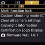 Image result for Firmware Version