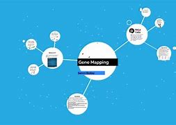 Image result for Genetic Mapping