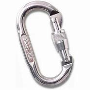 Image result for Stainless Steel Oval Locking Carabiner