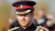 Image result for Prince Harry in Full Dress Uniform
