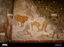 Image result for Pompeii Animals