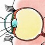 Image result for Five Senses Sight Worksheet