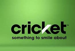 Image result for Cricket Wireless New Logo