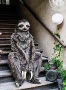 Image result for Sid the Sloth Man