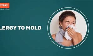 Image result for Mold Allergy