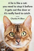 Image result for Funny Cat Quotes for Signs and Sayings