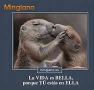 Image result for Besos Meme