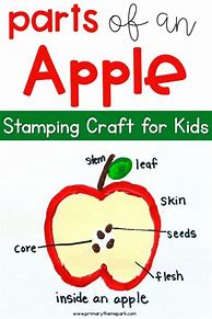 Image result for Parts of an Apple Preschool