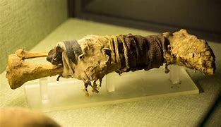 Image result for Silk Road Mummies