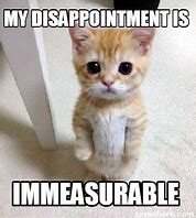 Image result for Highly Disappointed Meme