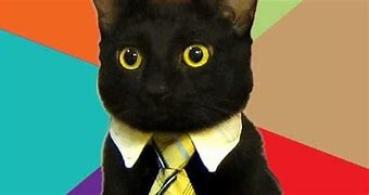 Image result for Business Cat Meme Good Job Jenkins