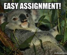 Image result for Easy Assignment Meme