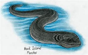 Image result for Hook Monster
