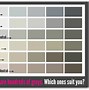 Image result for Gray Skin Tone