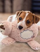 Image result for Dog Anxiety Toys