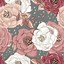 Image result for Rose Gold Background Wallpaper