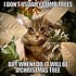 Image result for Christmas Cat Memes