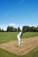 Image result for Cricket Pitch with Batsman
