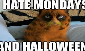 Image result for cat meme halloween