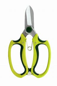 Image result for Garden Scissors