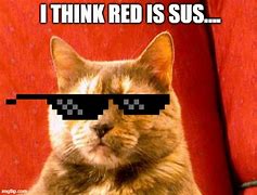 Image result for Sales Cat Meme