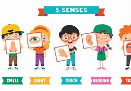 Image result for 5 Senses Center Ideas