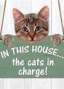 Image result for Cats in Charge