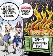 Image result for Political Cartoons of 2020
