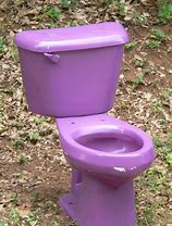 Image result for Kohler T39 Toilet