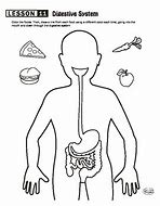 Image result for Digestive System Maze