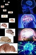 Image result for Points to Brain Meme