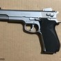 Image result for S&W 4506 Grips