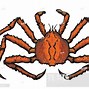 Image result for Sea Life Crab Drawing