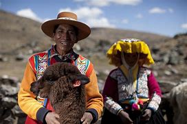 Image result for Heifer International Peru