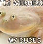 Image result for Dude Meaning Meme