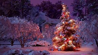 Image result for High Resolution Christmas Tree