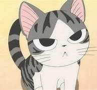 Image result for Chi Cat Angry