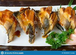 Image result for Nigiri Sashimi Grilled Eel