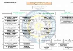 Image result for Local Government Organizational Chart