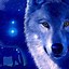 Image result for Blue Galaxy Wolf